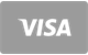 Visa icône de paiement par carte